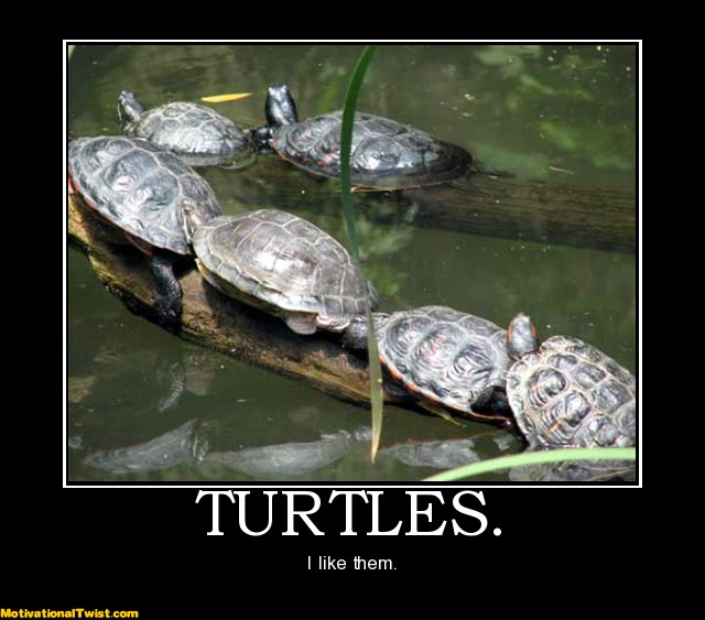 Inspirational turtle quote image 4