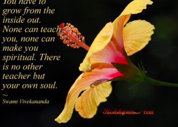 10 Inspirational Quotes For The Soul