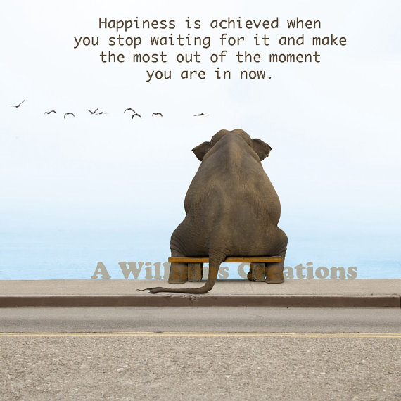 Inspirational Quotes About Elephants