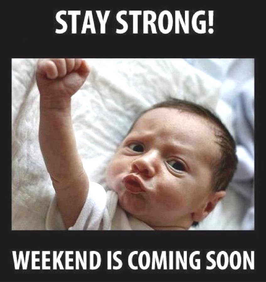 Funny Thursday Quotes