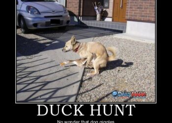 10 Inspirational Quotes About Hunting