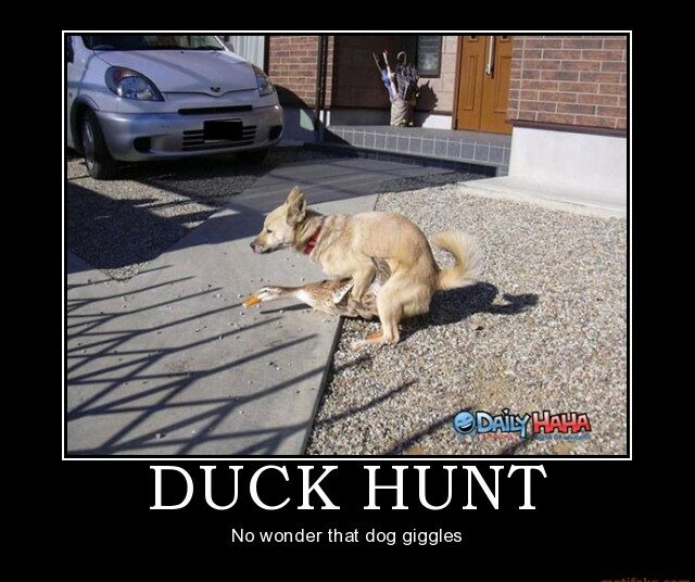 10 Inspirational Quotes About Hunting