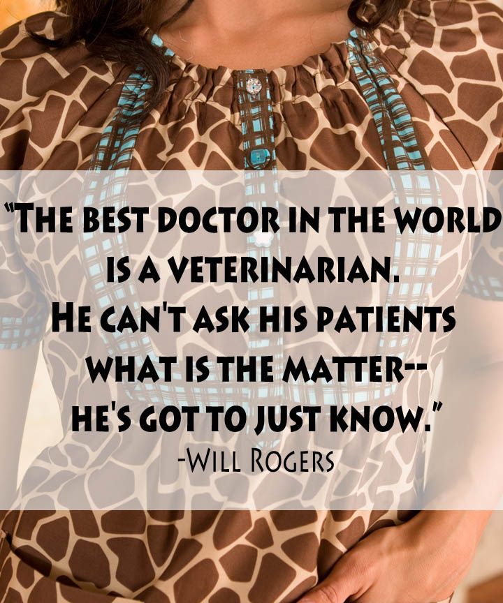 Veterinarian Quotes Inspirational