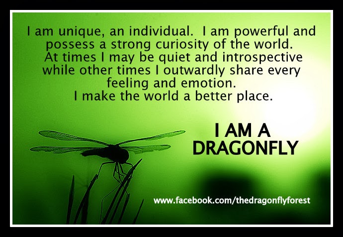 Motivational Dragonflies Quote