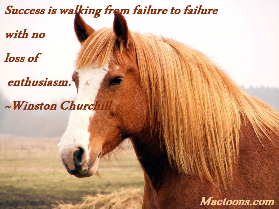 Inspirational Horse Quotes