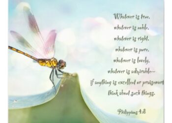 10 Inspirational Quotes About Dragonflies