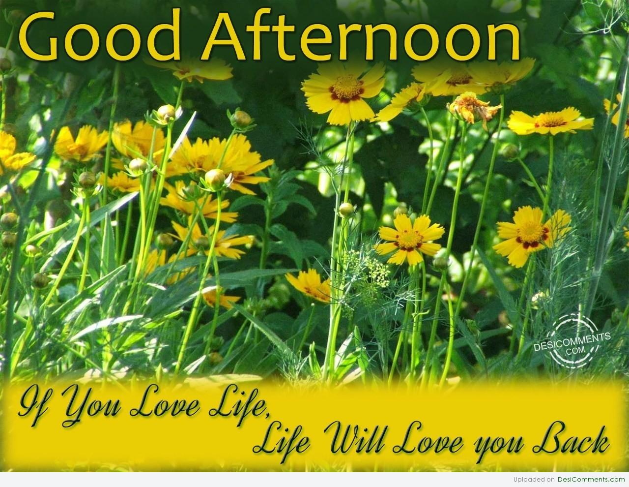 Afternoon Inspirational Quote 2