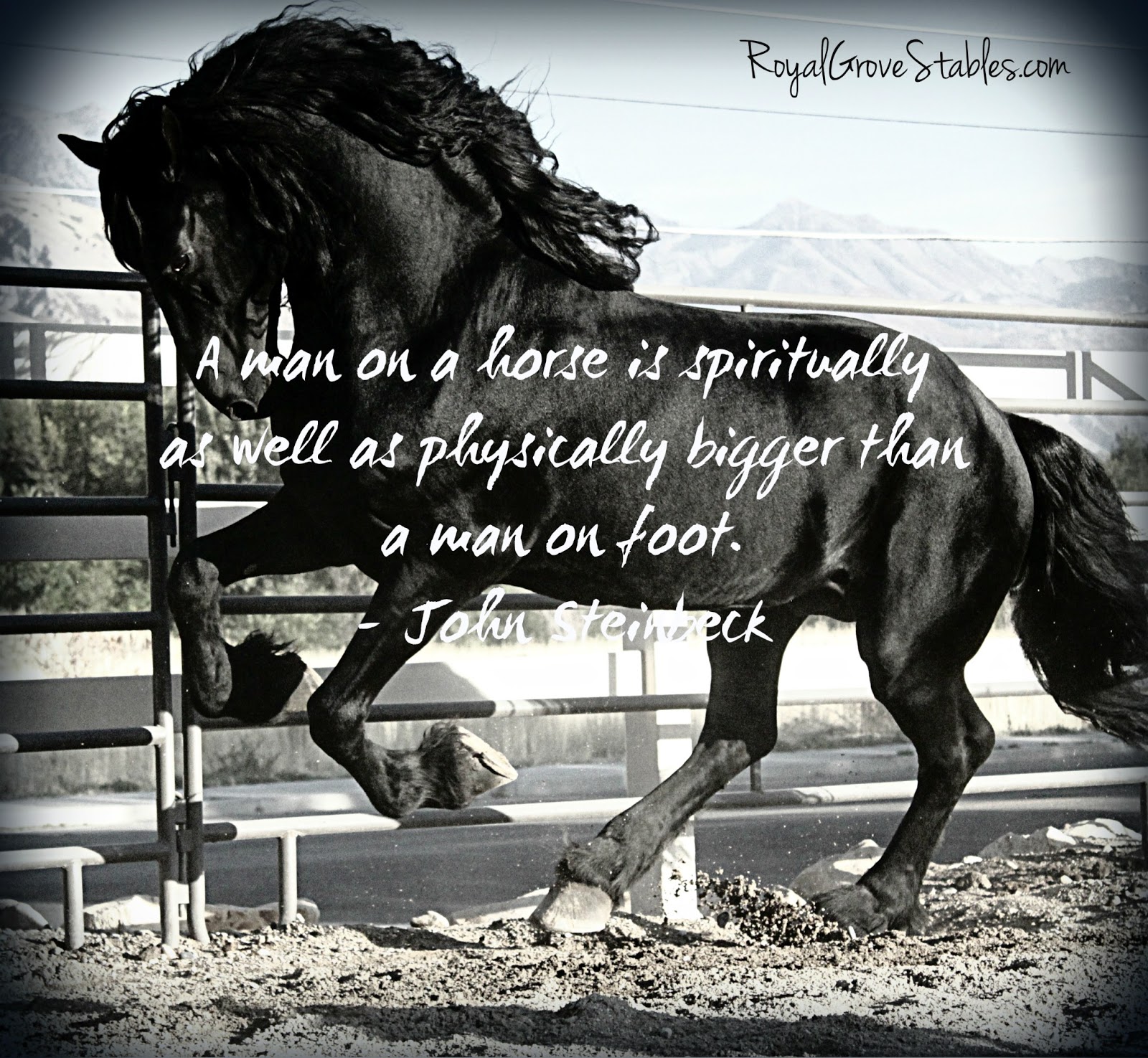 Inspirational Horse Quotes