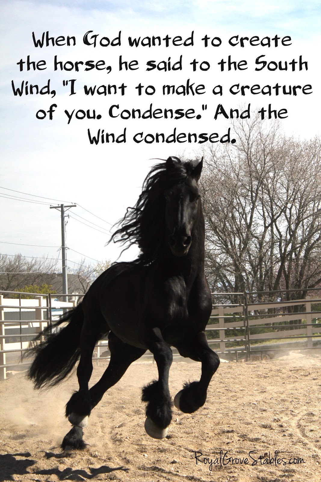 Inspirational Horse Quotes For Girls