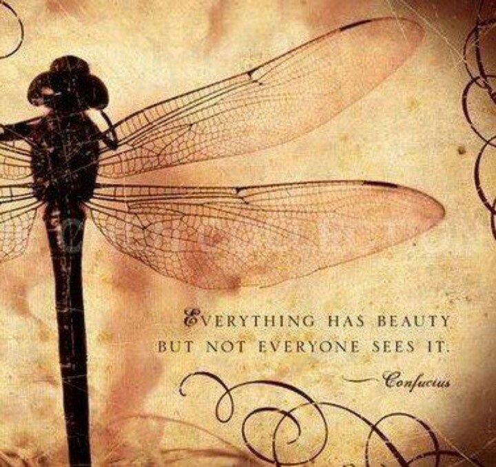 Quotes About Dragonflies