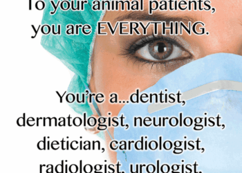 10 Inspirational Quotes For Veterinarians