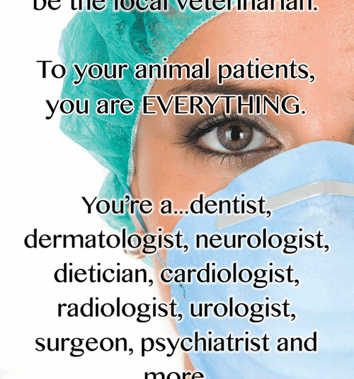 10 Inspirational Quotes For Veterinarians