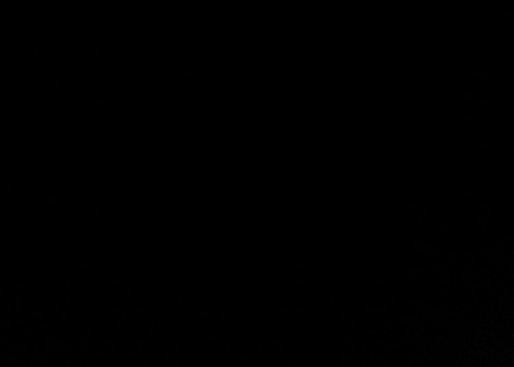 10 Black Women Inspirational Quotes