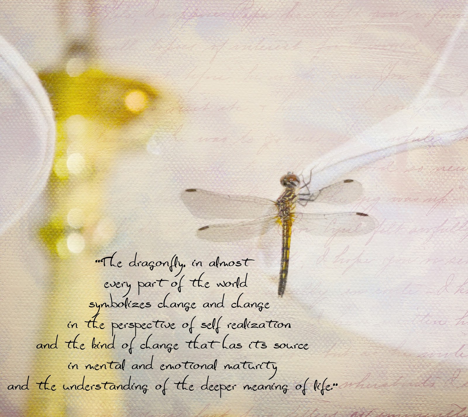 Dragonflies Inspirational Quote