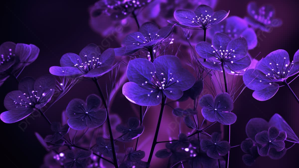 Dark Purple Flowers At Night Wallpaper