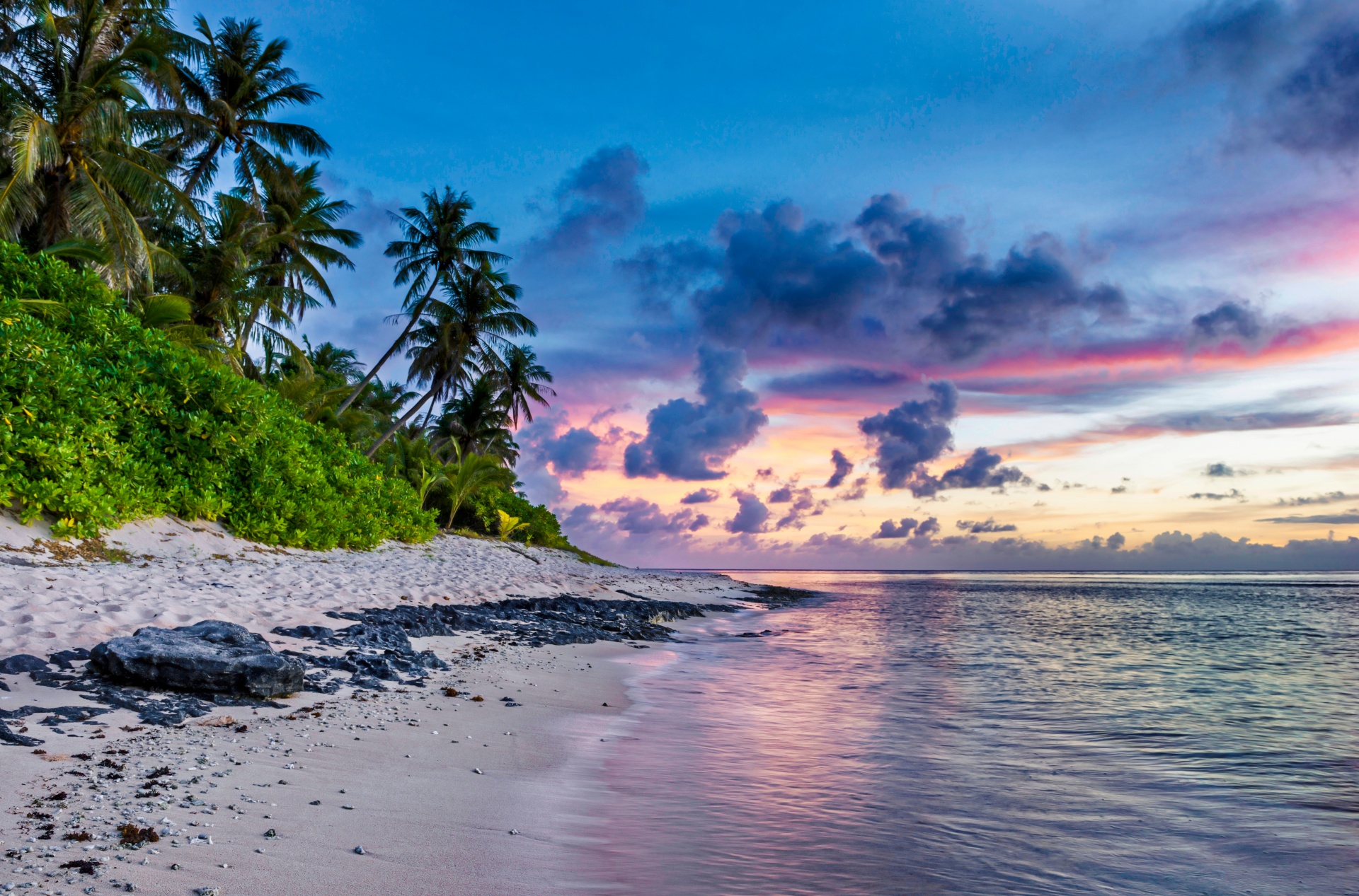 Tropical Beach Scene